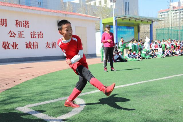 王哲林谈带伤打球：若不打会后悔 一辈子能有几次站在总决舞台上